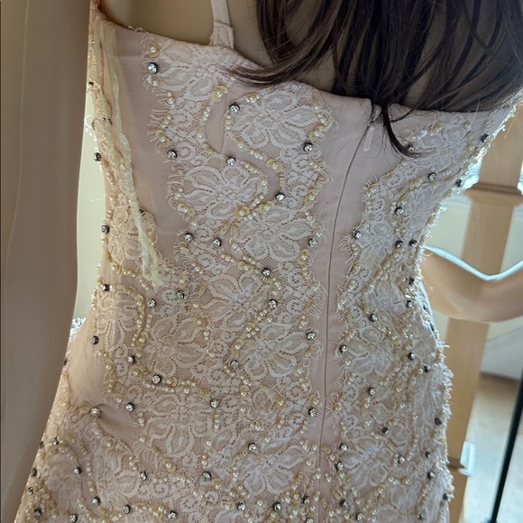 Chic Embellished Blush Mini Dress - Picture 4 of 8